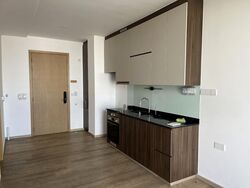 Urban Treasures (D14), Condominium #498024871